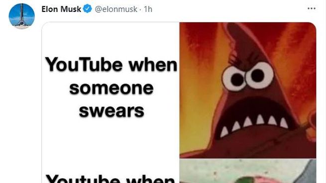 tweet musk.jpg