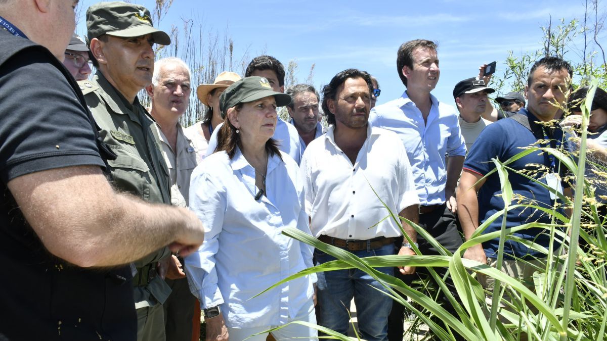 Patricia Bullrich and Gustavo Sáenz began the construction of the wiring on the border with Bolivia