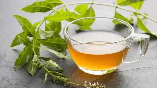 Rico en antioxidantes, este té protege a nuestro organismo del daño causado por los radicales libres. 