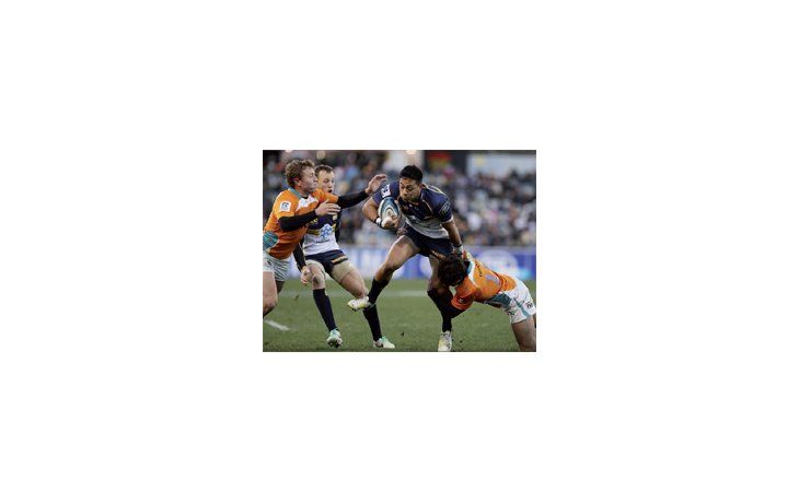ámbito.com | Avanza. Brumbies venció a Cheetahs y ahora va por Bulls.