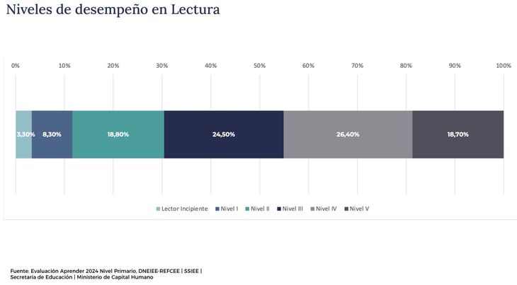 Gráfico 1: niveles de desempeño en lectura de alumnos de tercer grado a nivel nacional. Gráfico 1: niveles de desempeño en lectura de alumnos de tercer grado a nivel nacional.