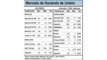 Continúa récord de precios en Liniers