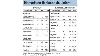 Bajas del 3,2% en los novillos