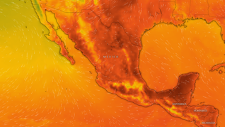 Calor en casi todo México este domingo. Calor en casi todo México este domingo.