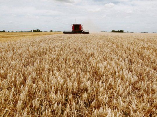 El sector agropecuario espera definiciones sobre el tema retenciones