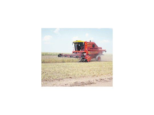 Desde el Gobierno estiman que la producción de soja oscilará entre 50 y 52 millones de toneladas.