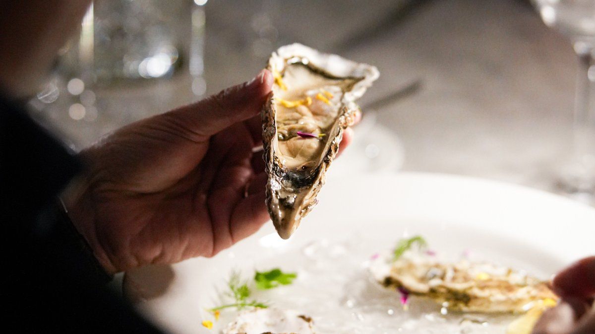 El placer de las ostras: restaurantes para una experiencia premium