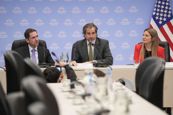 Benegas Lynch quedará a cargo de la Comisión de Presupuesto. Benegas Lynch quedará a cargo de la Comisión de Presupuesto.