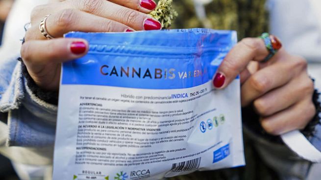 La industria uruguaya de cannabis atraviesa una crisis.&nbsp;