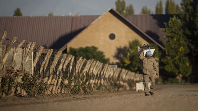 La industria del vino teme que la falta de controles afecte la calidad y la credibilidad de sus productos.
