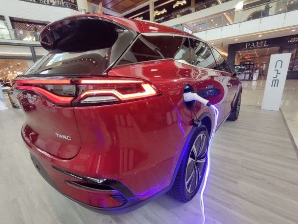 BYD, una de las marcas de autos china m&aacute;s importante del mundo.