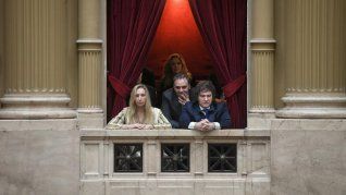 Los hermanos Milei presenciaron la jura de los diputados electos.