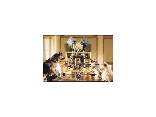 Las destrezas de los perros son lo único que sobrevive en este oscuro film para chicos, sin humor y por momentos angustiante.