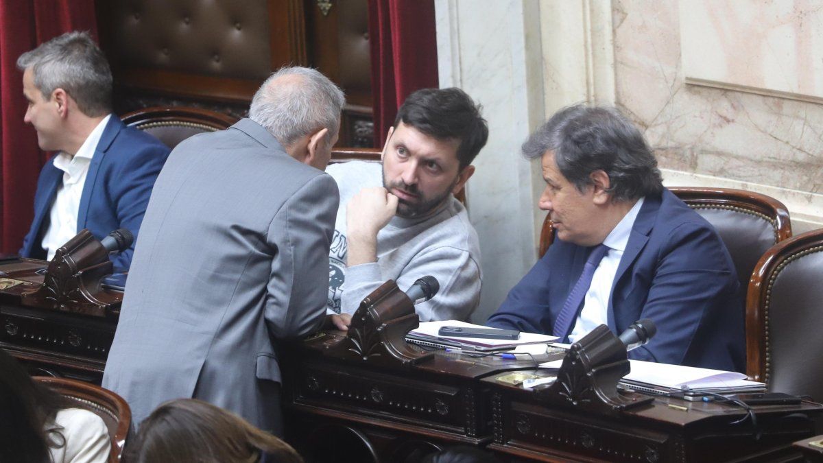CASE $ LIBRA: The opposition promotes a investigative commission in Congress