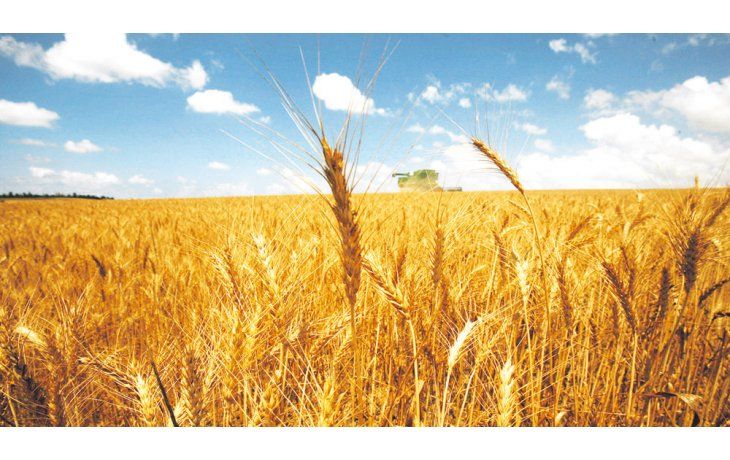 Agricultura de precisión. El diseño fue realizado por técnicos del INTA Manfredi, de la provincia de Córdoba.