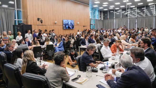 Un plenario de cuatro comisiones dictaminó el proyecto oficialista para el Régimen Penal Juvenil.