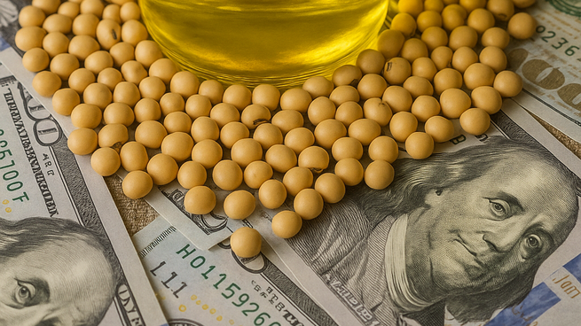 Clave para Argentina: el aceite de soja se dispara más de 15% tras una decisión de EEUU