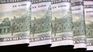 El dólar es una variable clave de la economía preelectoral.