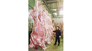 ámbito.com | El rebrote de fiebre aftosa provocó fuertes pérdidas a los frigoríficos dedicados a la exportación de carne