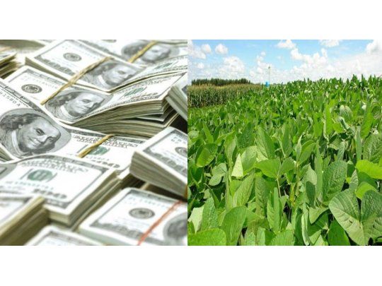 Soja y endeudamiento