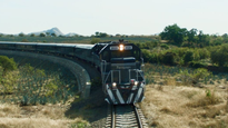 El tren de méxico que guarda el secreto líquido de la tierra: ¿Qué se esconde tras el agave azul?