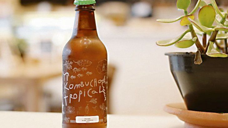 kombucha estados unidos