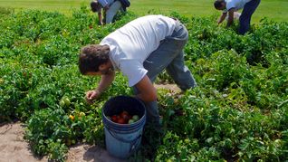Los aglutinadores uruguayos recibieron los primeros pagos del MGAP para la mejora de los seguros agrícolas.