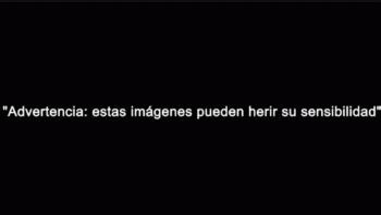 La banda chilena La Ley homenajeó a Cerati en Viña del Mar
