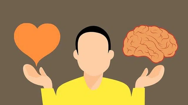 Los expertos en neurociencia revelaron qué es el amor, según la ciencia.