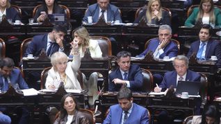 Giudici, Bornoroni y Mayoraz, referentes del bloque libertario. Giudici, Bornoroni y Mayoraz, referentes del bloque libertario.