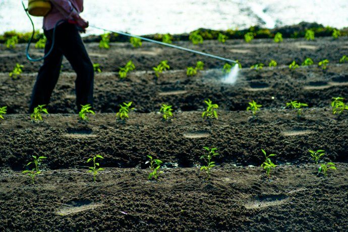 Un tercio del comercio marítimo global de fertilizantes atraviesa Ormuz. Un tercio del comercio marítimo global de fertilizantes atraviesa Ormuz.