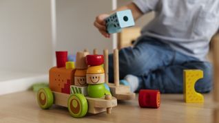 El Gobierno busca reducir los aranceles para 14 categorías y ampliar la oferta importada antes del pico de ventas de fin de año. El Gobierno busca reducir los aranceles para 14 categorías y ampliar la oferta importada antes del pico de ventas de fin de año.