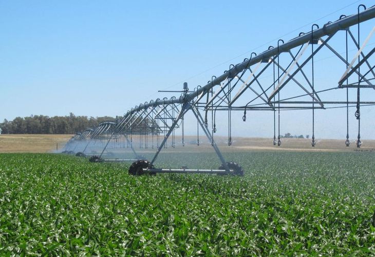 El endurecimiento de la salvaguarda agrícola puede ser una ventaja para Uruguay frente a sus socios del Mercosur. El endurecimiento de la salvaguarda agrícola puede ser una ventaja para Uruguay frente a sus socios del Mercosur.