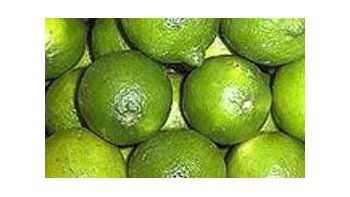 El jugo de limón tuvo como principal destino a Holanda.l jugo de limón, cuyo destino más importante fue Holanda.