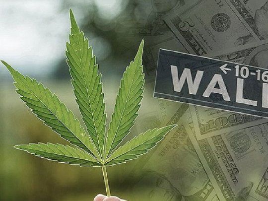 Las acciones de los productores de marihuana Tilray subieron (+ 50,9%), mientras que las acciones de Canopy Growth Corp (+ 6,2%) y Aurora Cannabis (+ 21,3%) también subieron.