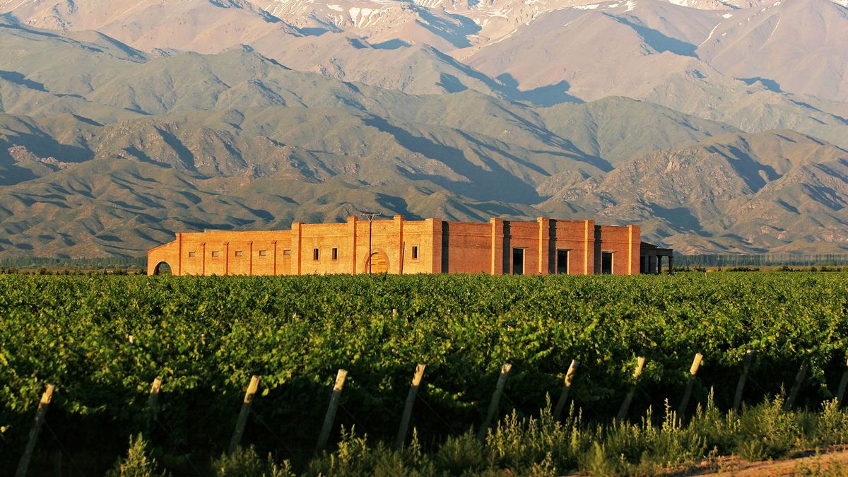 ¡Salud! Descubre las Tendencias del Vino que Conquistarán Argentina y el Mundo