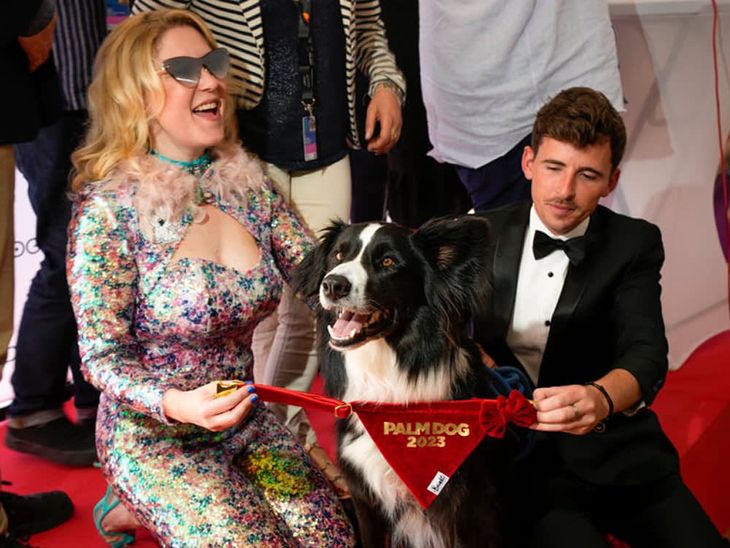 The border collie won the ''Palm Dog'' award at the Cannes Film Festival The border collie won the ''Palm Dog'' award at the Cannes Film Festival