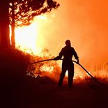 El operativo está a cargo del Servicio Provincial de Manejo del Fuego (SPMF), dependiente de la Secretaría de Bosques. El operativo está a cargo del Servicio Provincial de Manejo del Fuego (SPMF), dependiente de la Secretaría de Bosques.