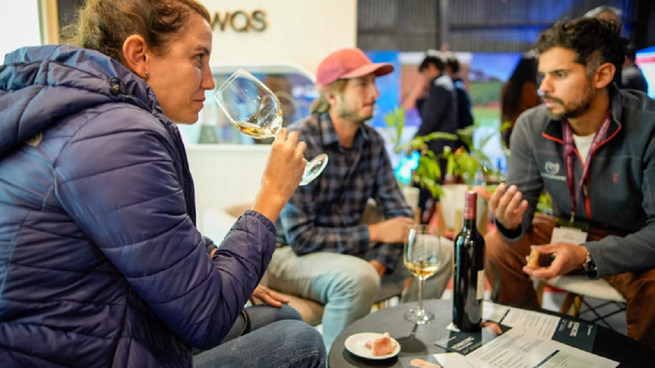 Vinos 1.png