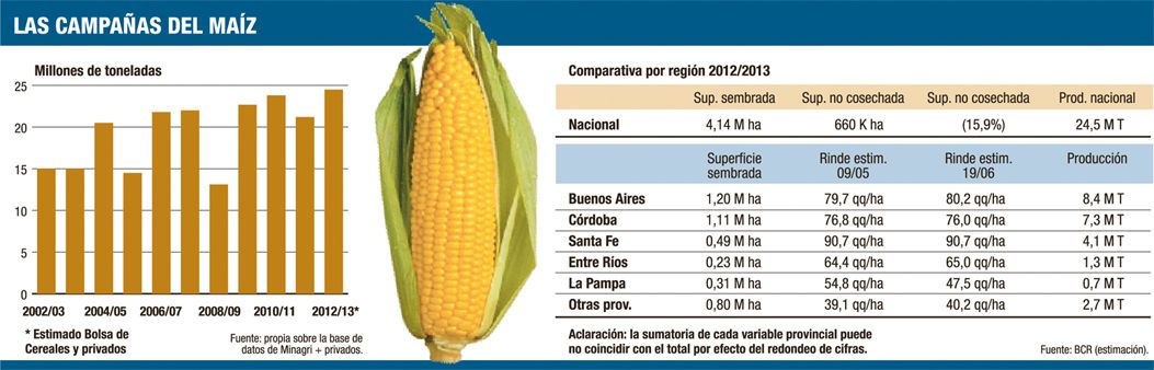 Lluvias en EE.UU. definen al maíz local (foto 1)