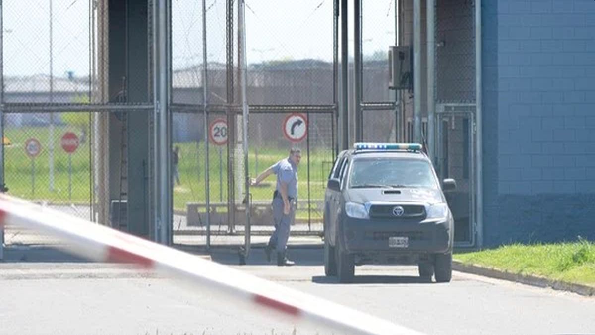 Intoxicación: un niño y un bebé están en terapia intensiva luego de comer un budín con drogas