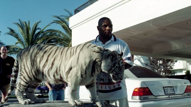 Mike Tyson y su tigre de Bengala.&nbsp;