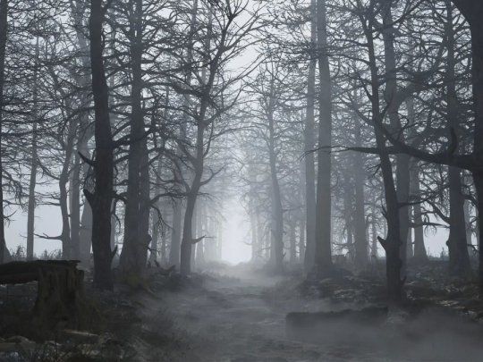 turismo oscuro.jpg