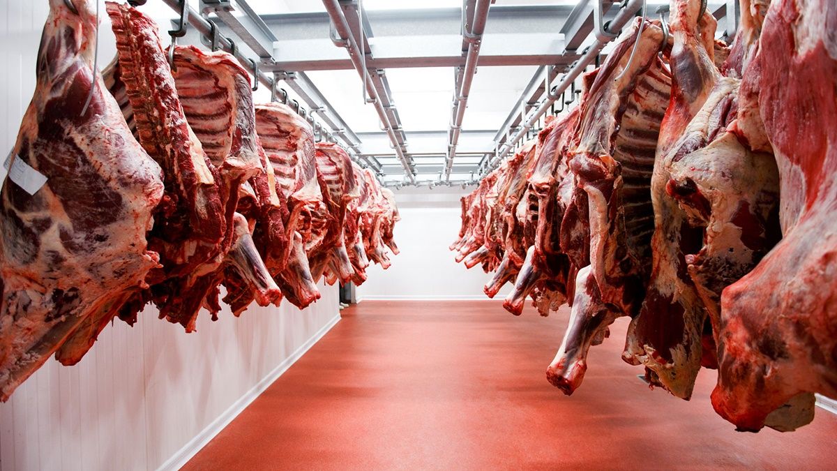 Meat exporters demand measures to raise the price of the farm