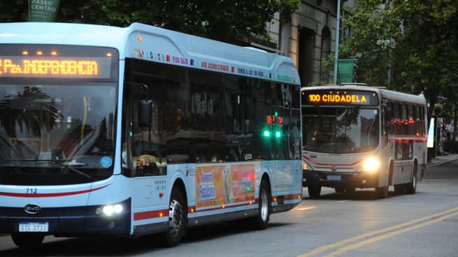 La reforma del sistema de transporte metropolitano comenzaría a mitad de 2027.