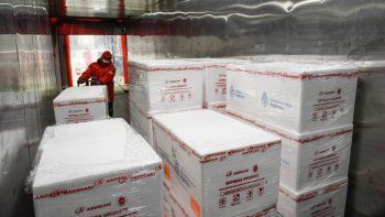 Ya se aplicaron 17.172.628 de dosis, 13.609.451 personas recibieron la primera y 3.563.177 la segunda.