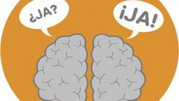 Cerebro.