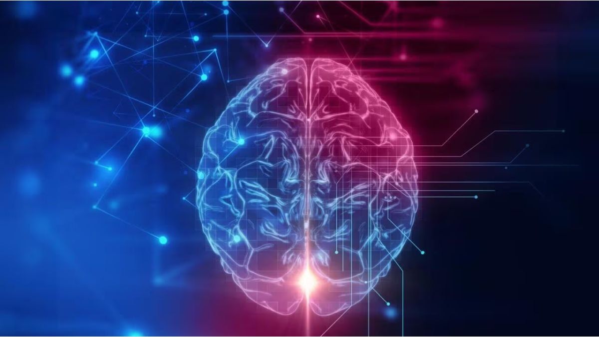 According to Harvard, this is the healthiest vitamin for the brain