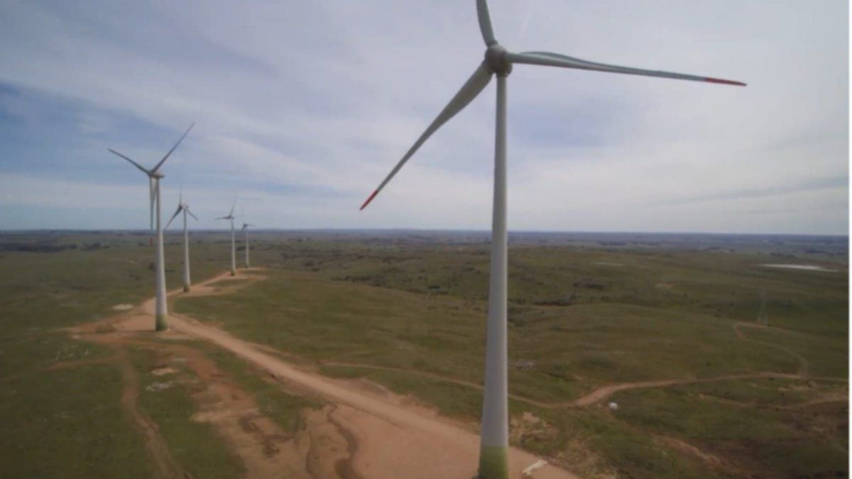 Shares of European wind companies plummet after Trump calls turbines garbage