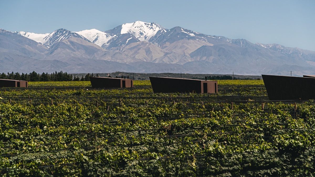 An ambitious wine tourism proposal that pays tribute to the mountains An ambitious wine tourism proposal that pays tribute to the mountains